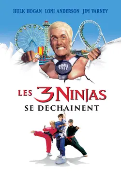Les 3 Ninjas se déchainent