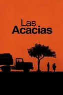 Affiche Les acacias