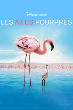 Les Ailes pourpres : Le Mystère des flamants
