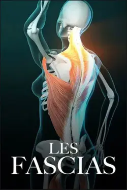 Affiche Les alliés cachés de notre organisme