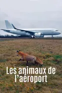 Affiche Les animaux de l'aéroport
