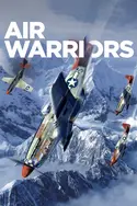 Affiche Les combattants du ciel Le Stuka