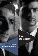 Affiche Les cousins