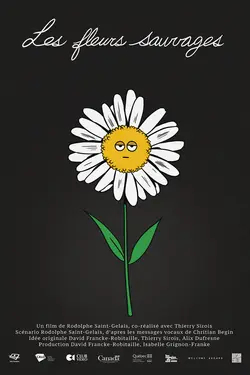 Affiche Les fleurs sauvages