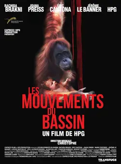 Affiche Les mouvements du bassin