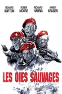 Affiche Les oies sauvages