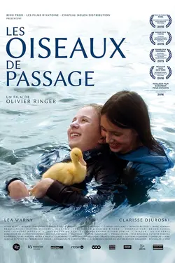Affiche Les oiseaux de passage
