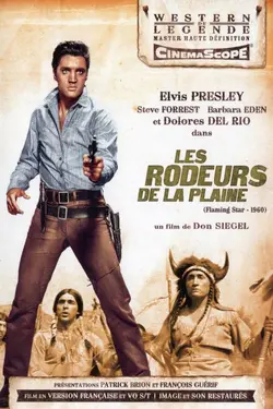 Affiche Les rôdeurs de la plaine