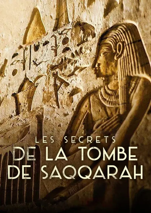 Les Secrets de la tombe de Saqqara