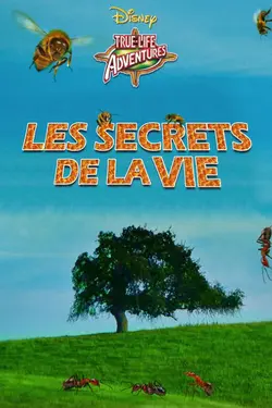 Les Secrets De La Vie