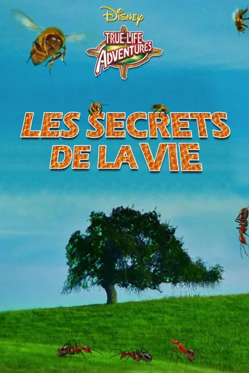 Les Secrets De La Vie