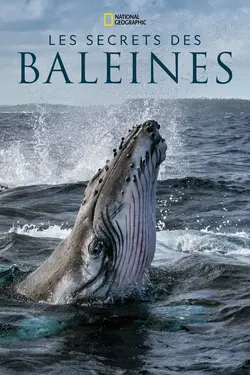 Les Secrets des baleines S01E04 Les géants des mers