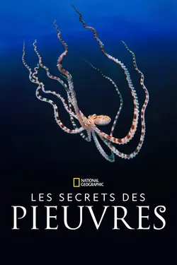 Les secrets des pieuvres S01E02 Petits génies