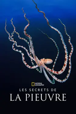 Les secrets des pieuvres S01E03 Des animaux connectés