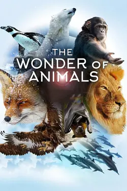 Les superpouvoirs des animaux S01E09 Les dauphins