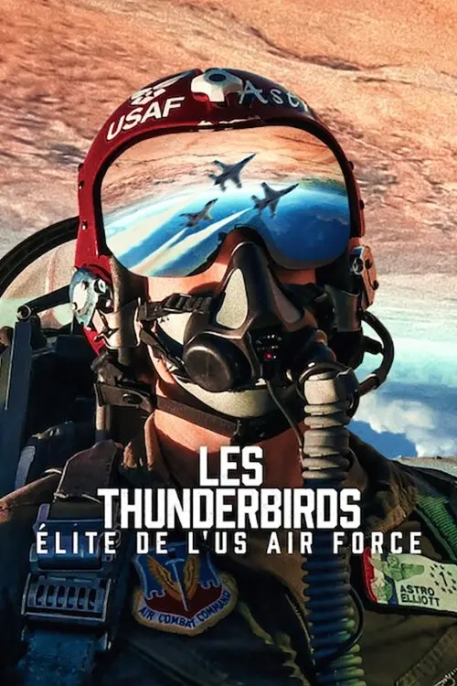 Les Thunderbirds : Élite de l'US Air Force