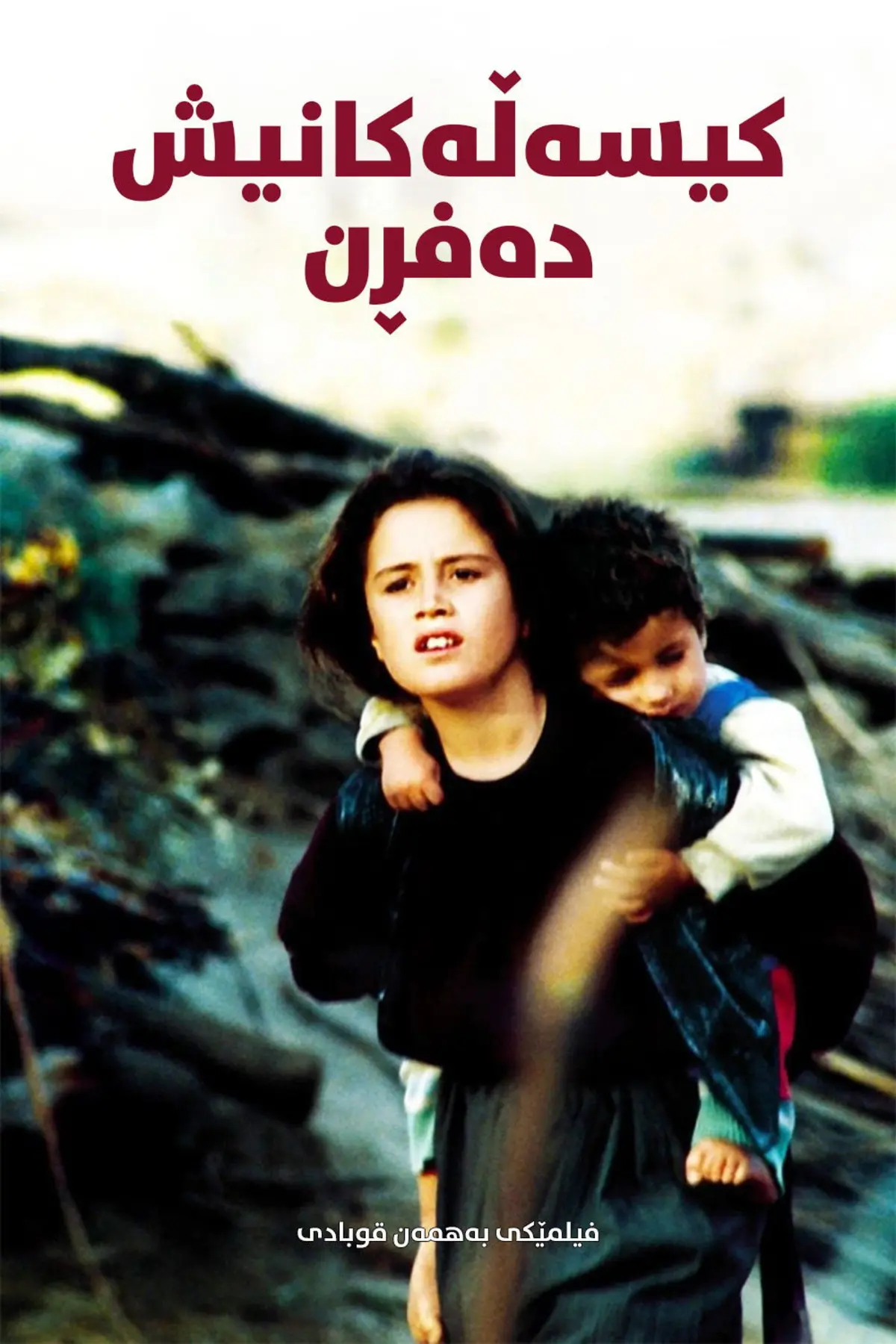 Les tortues volent aussi