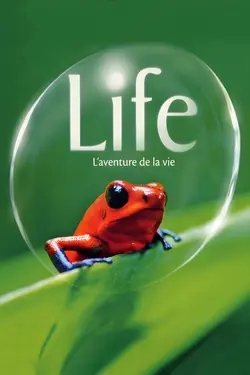 Life (BBC) S01E03 Les mammifères