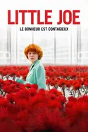 Affiche Little Joe