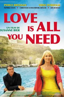 Affiche Love Is All You Need