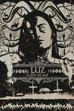 Affiche Luz