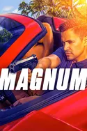 Affiche Magnum S01E07 Chat perché