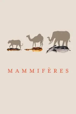 Mammifères (2024) S01E06 Au cœur des forêts