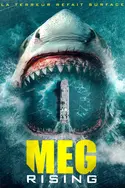 Affiche Meg Rising