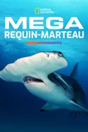 Affiche Mega requin-marteau en streaming