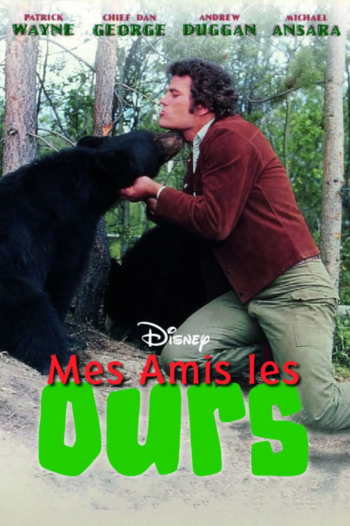 Mes amis les ours