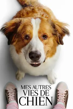 Affiche Mes autres vies de chien