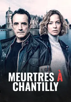 Affiche Meurtres à...  S10E04 Meurtres à Chantilly