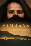 Affiche Mimosas, la voie de l'Atlas en streaming