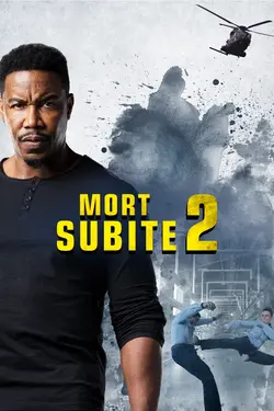Affiche Mort Subite 2