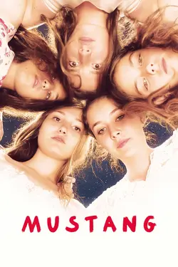 Affiche Mustang