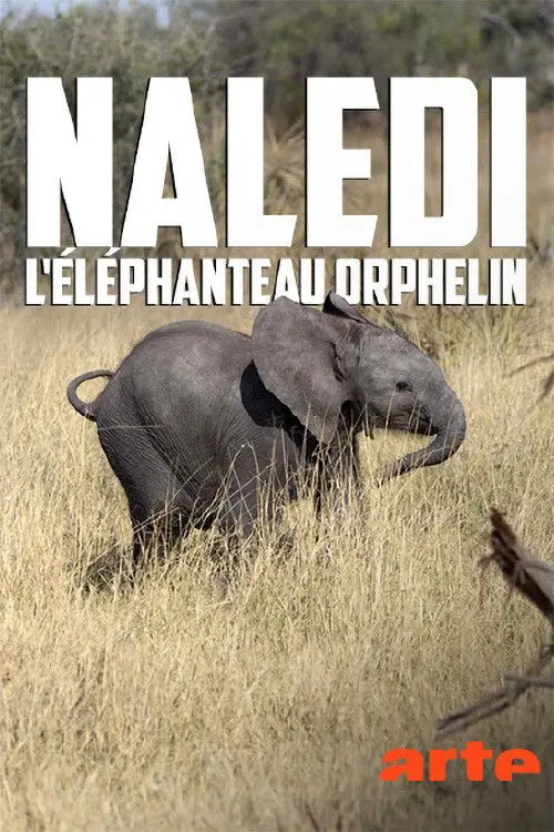 Naledi: A Baby Elephant's Tale