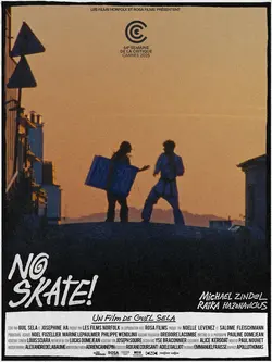 Affiche No Skate !