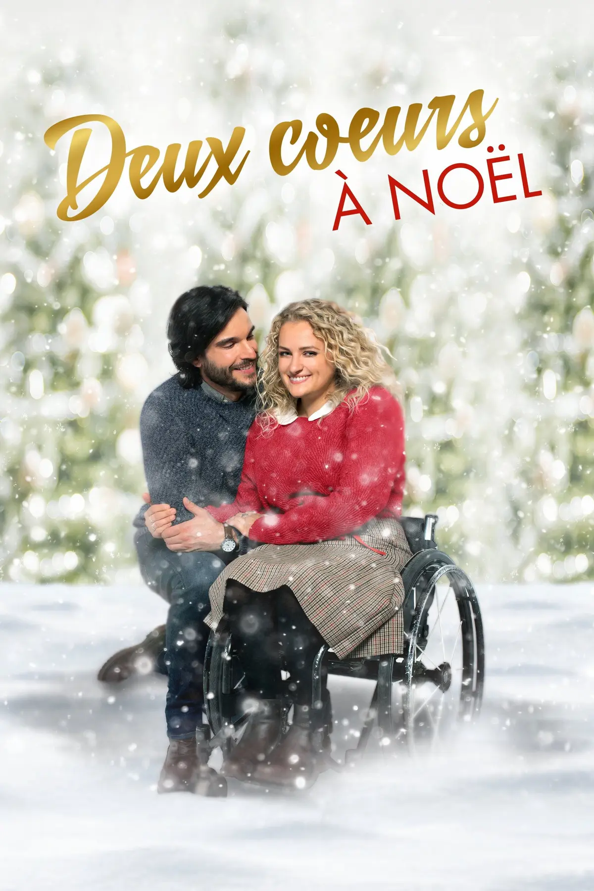 Noël avec le Prince de mes rêves