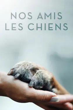 Nos amis les chiens S02E03 Mon chien irakien