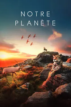 Notre Planète S01E05 Des déserts aux prairies