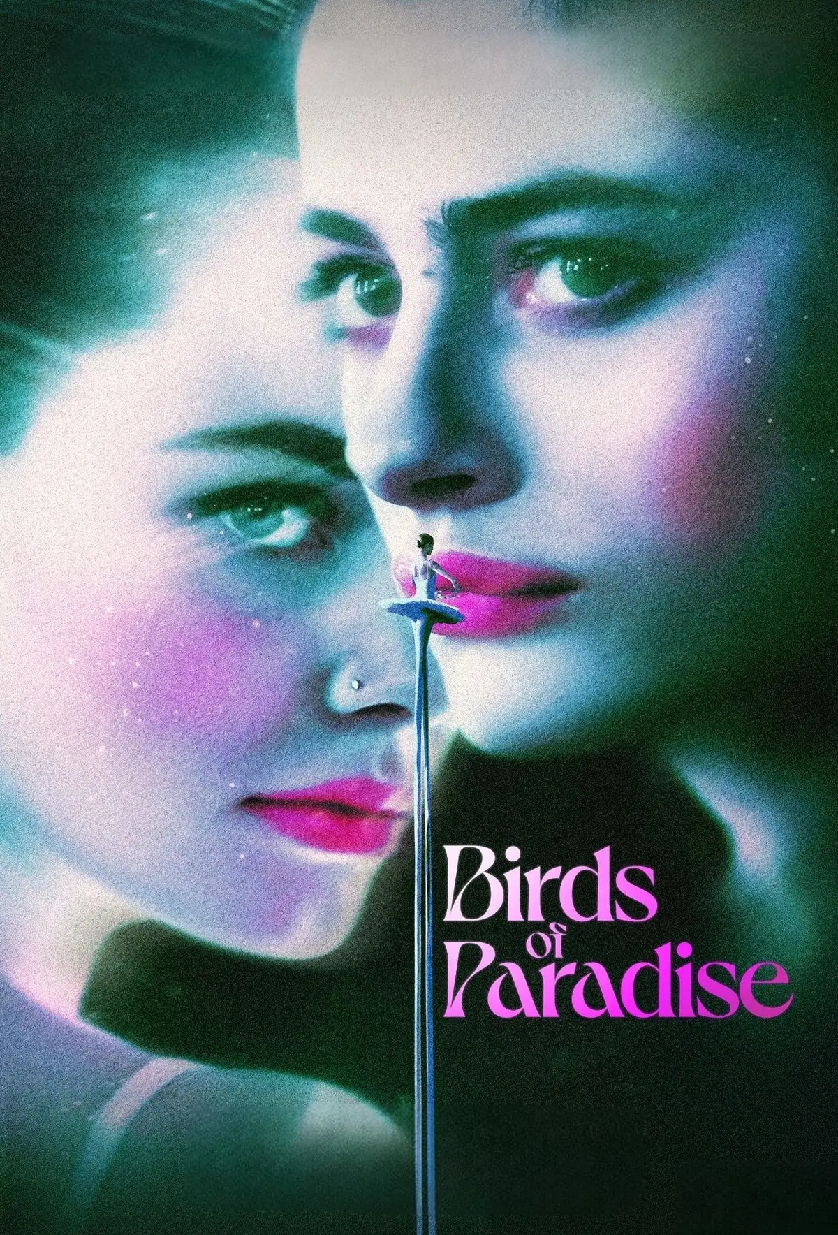 Oiseaux de Paradis