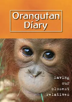 Orangutan Diary S02E07 Épisode 7