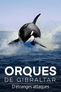 Affiche Orques de Gibraltar : D'étranges attaques