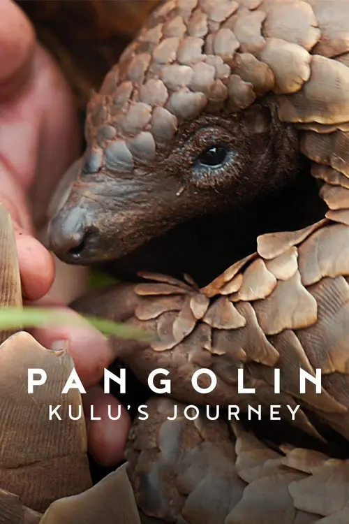 Pangolin : Chemin de vie