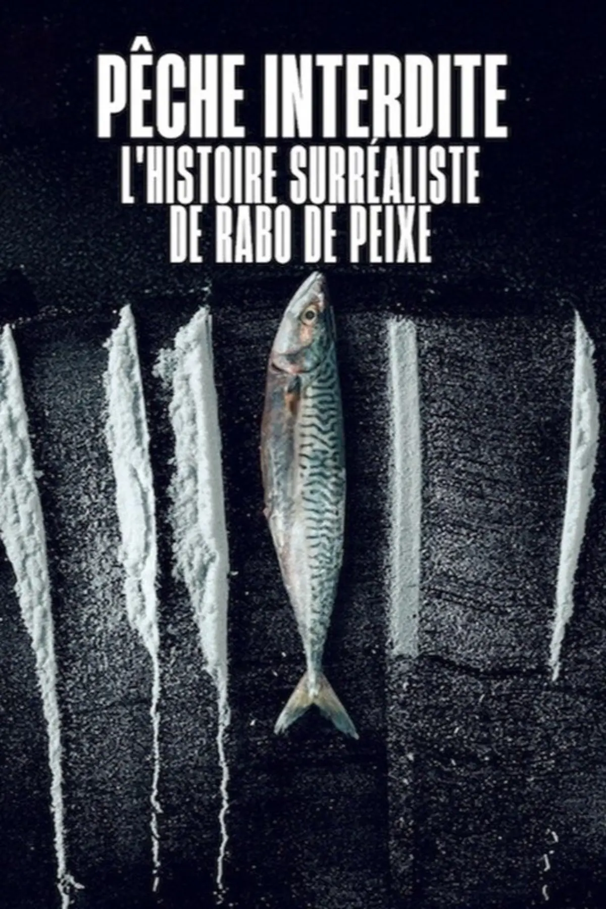 Pêche interdite : L'histoire surréaliste de Rabo de Peixe