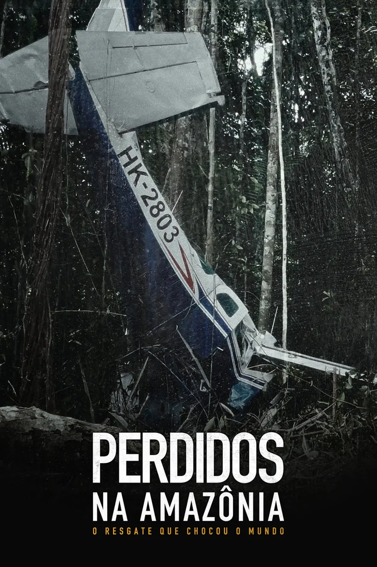 Perdidos en el Amazonas