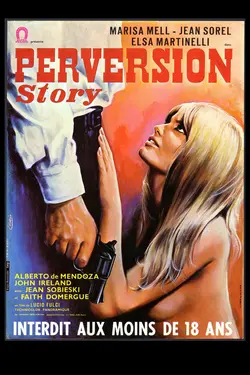 Affiche Perversion Story