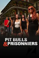 Affiche Pitbulls et prisonniers Speed Dating