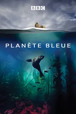 Affiche Planète bleue  Le long des côtes