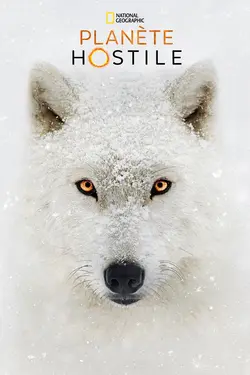 Planète Hostile S01E05 Les déserts